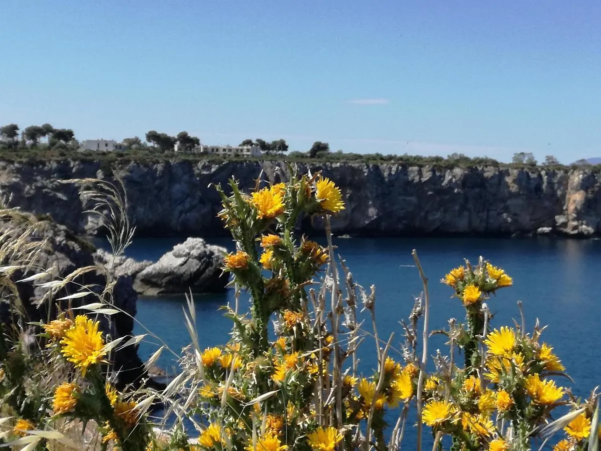 Appartamento L'Arco Terrasini